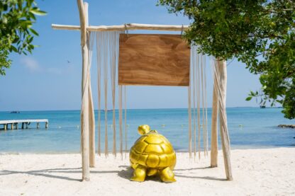 PAO PAO BEACH CLUB - Imagen 6